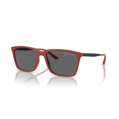 AX4138S 817487-57-XL