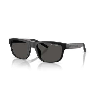 AX4169SU 500187-55-L