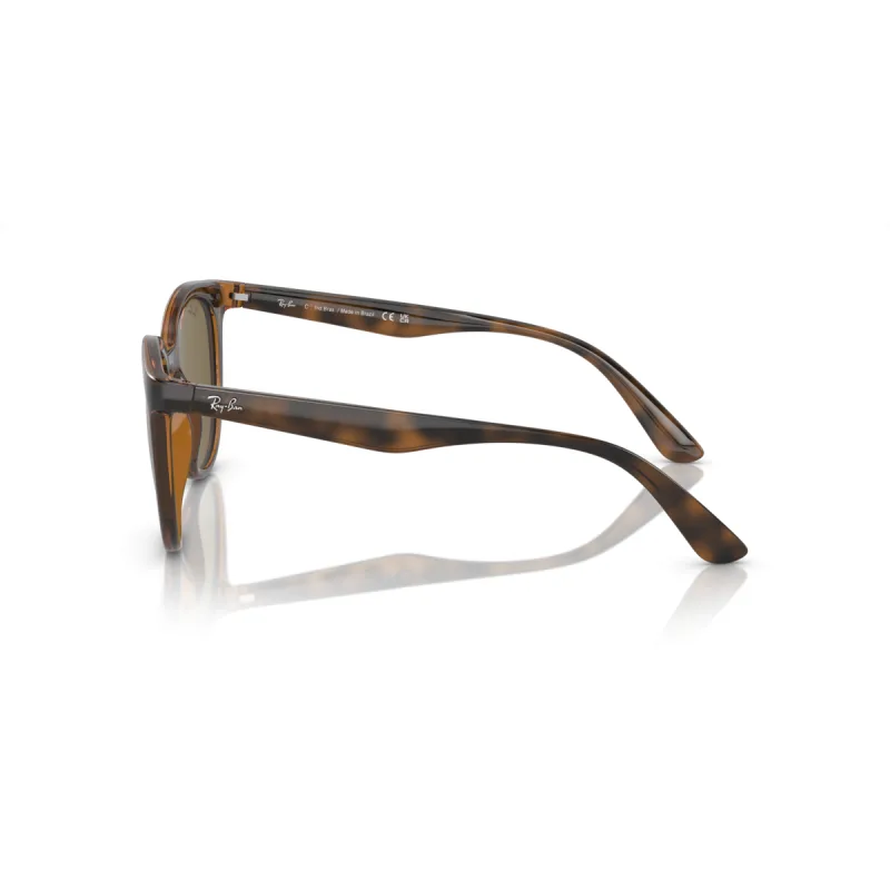 Ray-Ban Rb4383l 710/73-53-XL