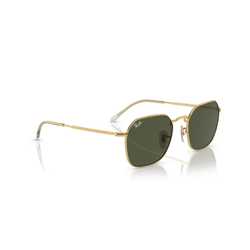 Ray-Ban Rb3694 001/31-53-L