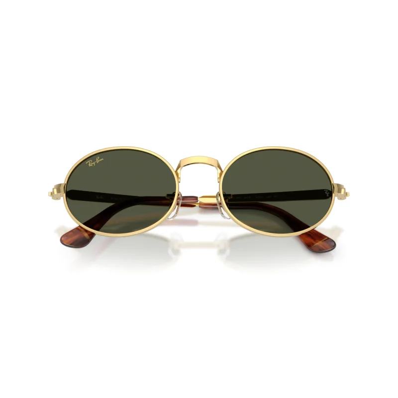 Ray-Ban Rb3931 001/31-54-XL