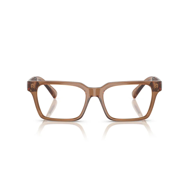Armani Exchange AX3122 8358-54-M