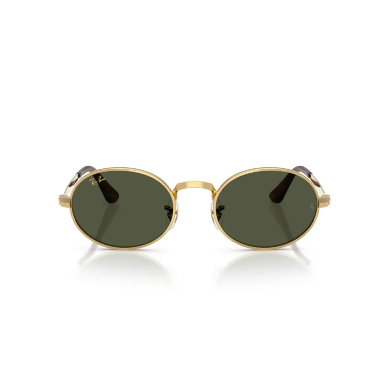 Ray-Ban Rb3931 001/31-54-XL