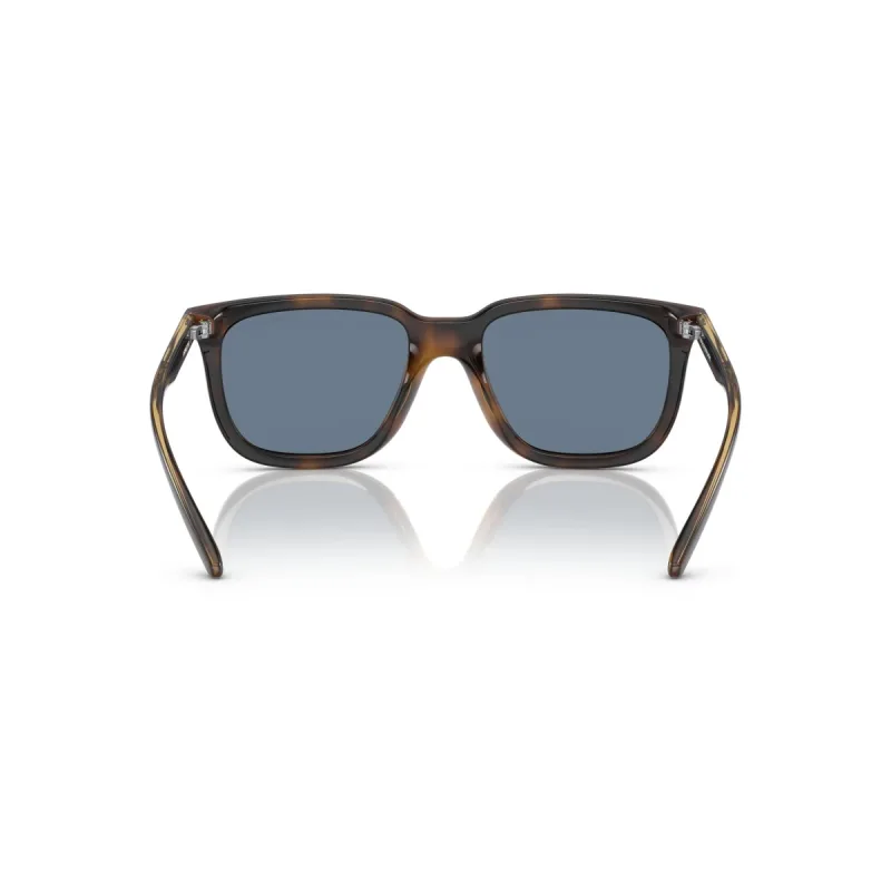 Arnette AN4306 27702V-54-L
