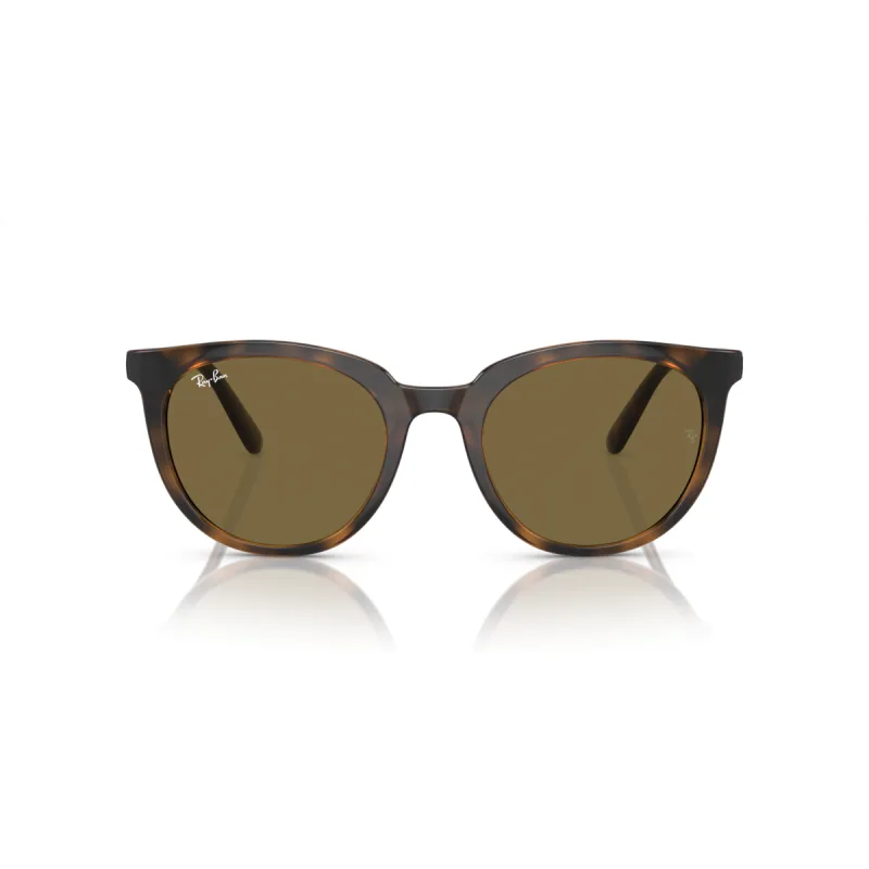 Ray-Ban Rb4383l 710/73-53-XL