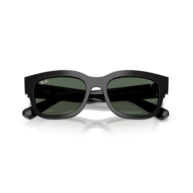Ray-Ban 0RB2228M F60171-53-M