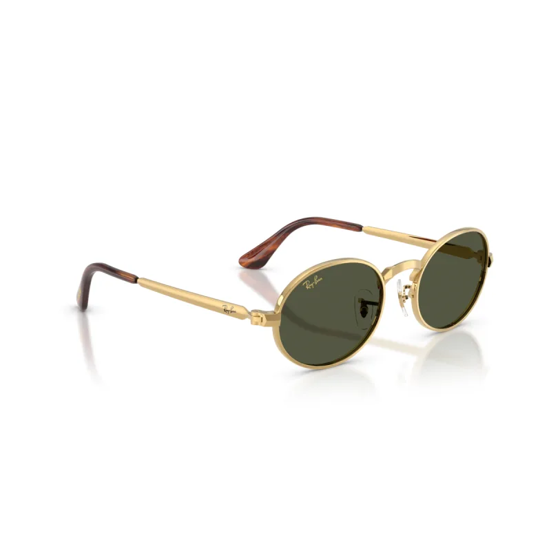 Ray-Ban Rb3931 001/31-54-XL